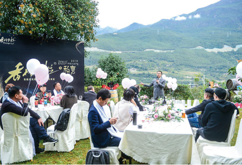 1573463974544950.jpg 11.jpg