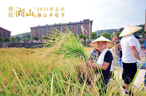 1633767565726472.jpg 7.jpg