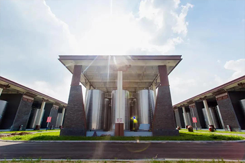 1636532686216652.jpg 4.jpg