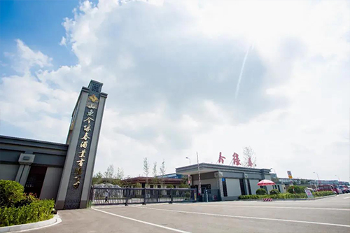 1636532710721442.jpg 5.jpg