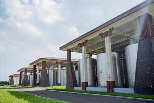 1636532781542910.jpg 7.jpg